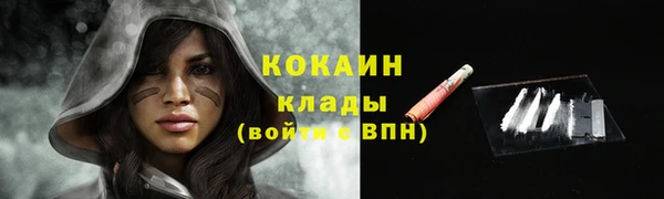 стаф Бугульма