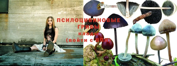 герыч Бородино